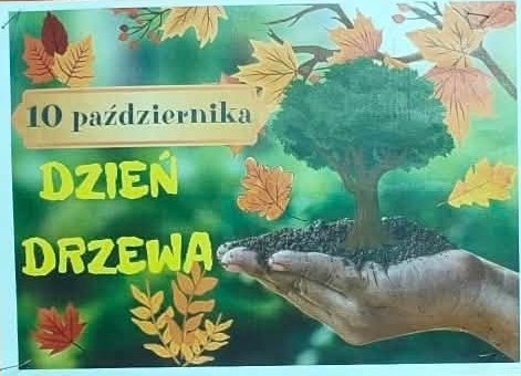 drzewo